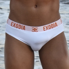 Cuecas Slip\Brief em microfribra de poliamida - loja online