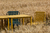 Mesa Domingo Cuadrada 70x70