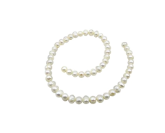 Perla de rio en internet