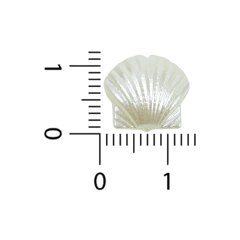 Formas Perladas Chicas - comprar online