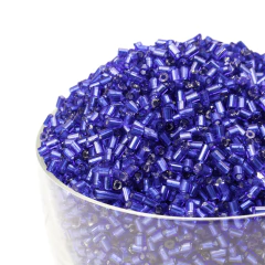 Canutillo Partido en internet