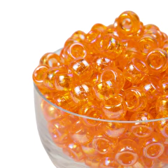 Plastico Pase Ancho Transparente Tornasol 06 x 09 mm