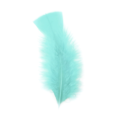 Plumas de Gallo Chico x 50 unidades - comprar online