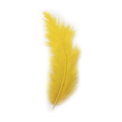 Plumas de Gallo Chico x 50 unidades - comprar online