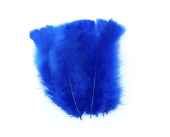 Plumas de Gallo Grande x 50 unidades