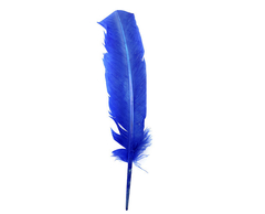 Plumas Pato Uniforme x 10 unidades