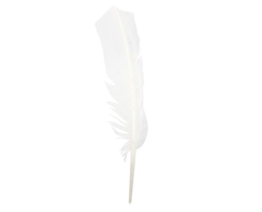 Plumas Pato Uniforme x 10 unidades