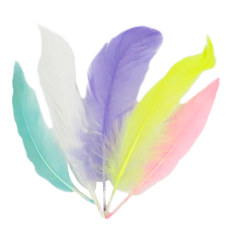 Plumas Bataraza x 20 unidades