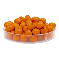 Cuentas de Madera 8 mm en internet