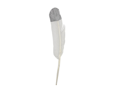 Plumas Pato Punta Plateado x 10 unidades