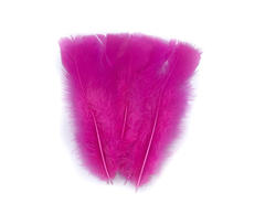 Plumas de Gallo Grande x 50 unidades