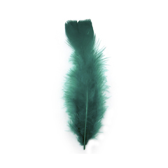 Plumas de Gallo Chico x 50 unidades - comprar online
