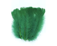 Plumas de Gallo Grande x 50 unidades