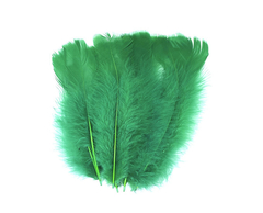 Plumas de Gallo Grande x 50 unidades