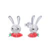 ARO971 AROS PASANTES PLATA 925