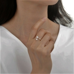 AN9551 ANILLO PLATA 925 - comprar online