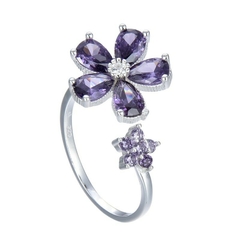 AN9554 ANILLO PLATA 925