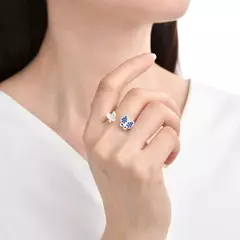 AN9645 ANILLO AJUSTABLE PLATA 925 - comprar online