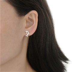 ARO1682 AROS PASANTES PLATA 925 - comprar online