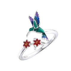 AN9513 ANILLO PLATA 925
