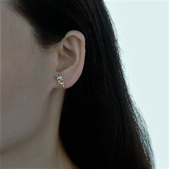 ARO1423 AROS PASANTES PLATA 925 - Espíritu Joyas Mayorista