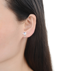 ARO1780 AROS PASANTES PLATA 925 - comprar online