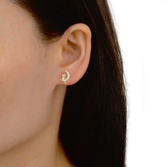 ARO1766 AROS PASANTES PLATA 925 - comprar online