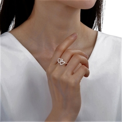 AN9501 ANILLO PLATA 925 en internet