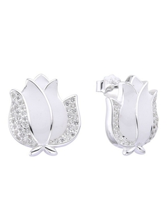 ARO1196 AROS PASANTES PLATA 925 en internet