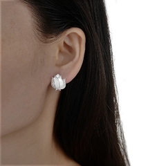 ARO1196 AROS PASANTES PLATA 925 - Espíritu Joyas Mayorista
