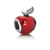CH961 DIJE CHARM PLATA 925 - comprar online