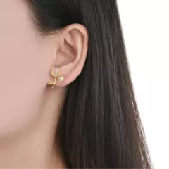 ARO2547 AROS PASANTES PLATA 925 en internet