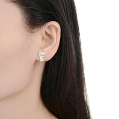 ARO2289 AROS PASANTES PLATA 925 en internet