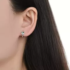 ARO2358 AROS PASANTES PLATA 925 en internet