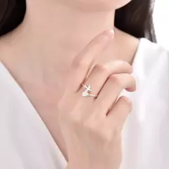 AN9752 ANILLO PLATA 925 en internet