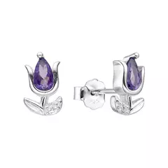 ARO2470 AROS PASANTES PLATA 925 - comprar online