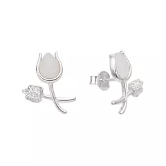 ARO2547 AROS PASANTES PLATA 925 - Espíritu Joyas Mayorista