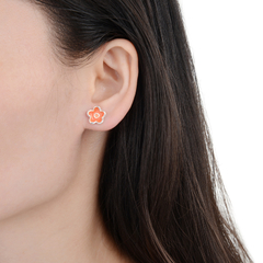 ARO2487 AROS PASANTES PLATA 925 en internet