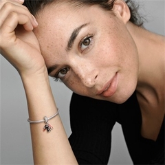 DJO517 DIJE CHARM PLATA 925 - Espíritu Joyas Mayorista
