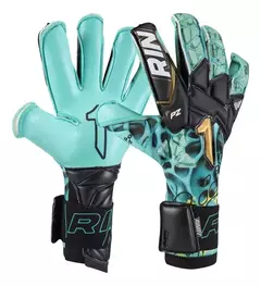 Xtreme Guard Dominus Pro en internet