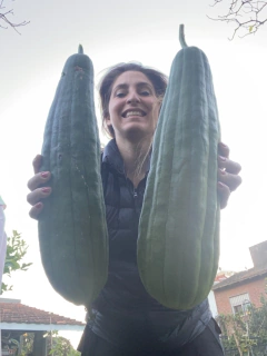 Semillas De Luffa - Rama Somos Composteras