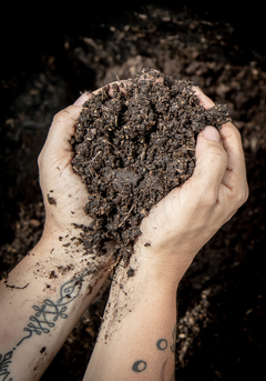 Imagen de Kit jardinería + compost + 4 paquetes semillas