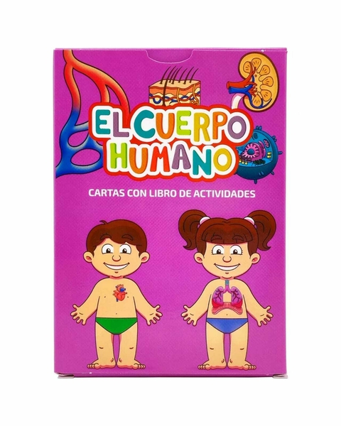 Cartas educativas - El cuerpo humano