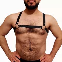 Arnes Alaska en internet