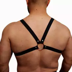 Arnes Alaska - Batcat