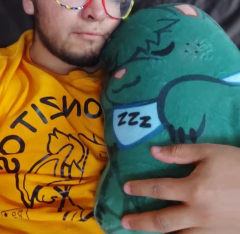 Perritos Durmientes - almohadas - tienda en línea