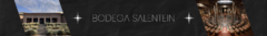 Banner de la categoría BODEGA SALENTEIN