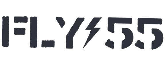 fly55
