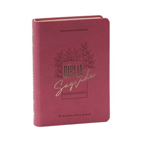 Bíblia Sagrada Letra Supergigante Rosa NAA