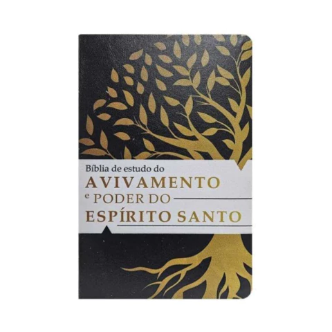 Bíblia de Estudo do Avivamento e o Poder do Espírito Santo ARC - Capa 01